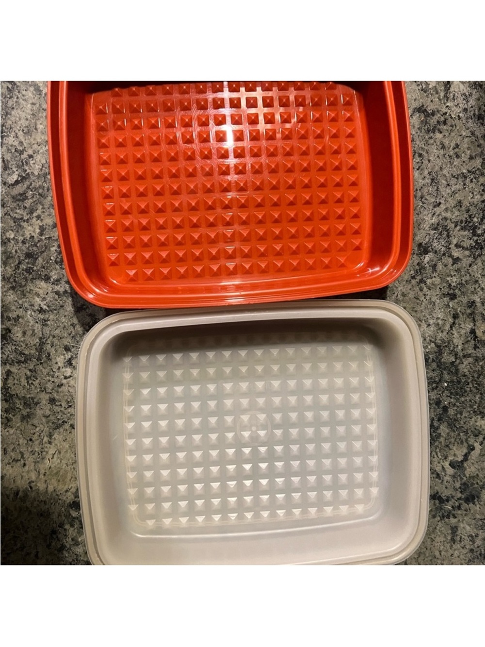 Tupperware Marinating container